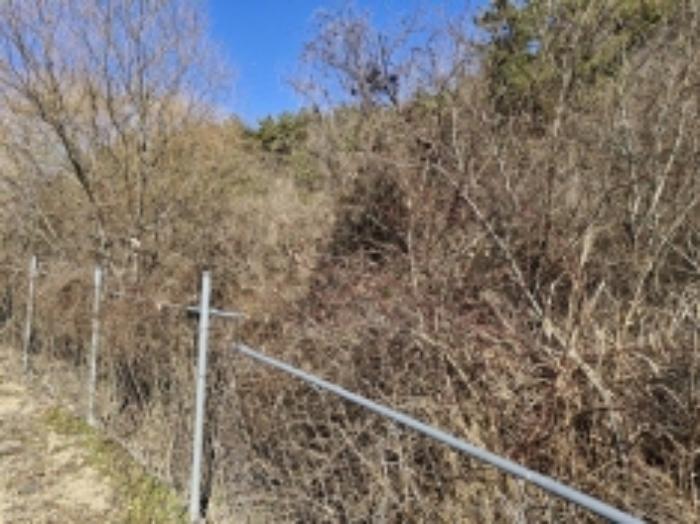 경상남도 고성군 거류면 가려리 460 답 경매 사진 13