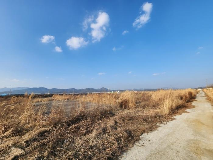 경남 고성군 거류면 가려리 460 답 사진 6