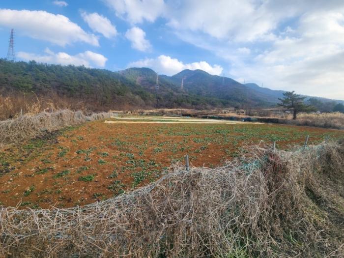 경상남도 고성군 거류면 가려리 469 답 경매 사진 4