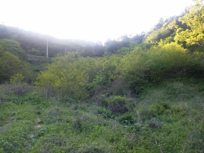전라남도 보성군 미력면 예재로 132-26구) 전라남도 보성군 미력면 도개리 821 창고 경매 사진 42