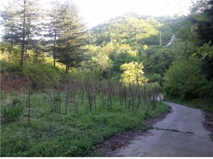 전라남도 보성군 미력면 도개리 822 전 경매 사진 40