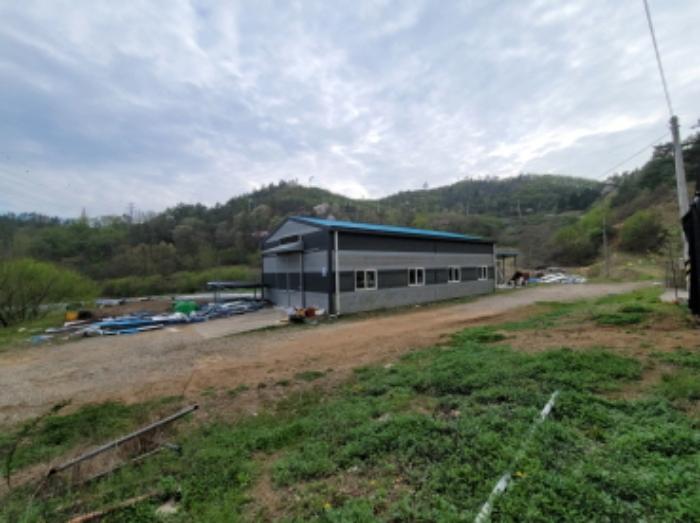 전라남도 보성군 미력면 도개리 822 전 경매 사진 68