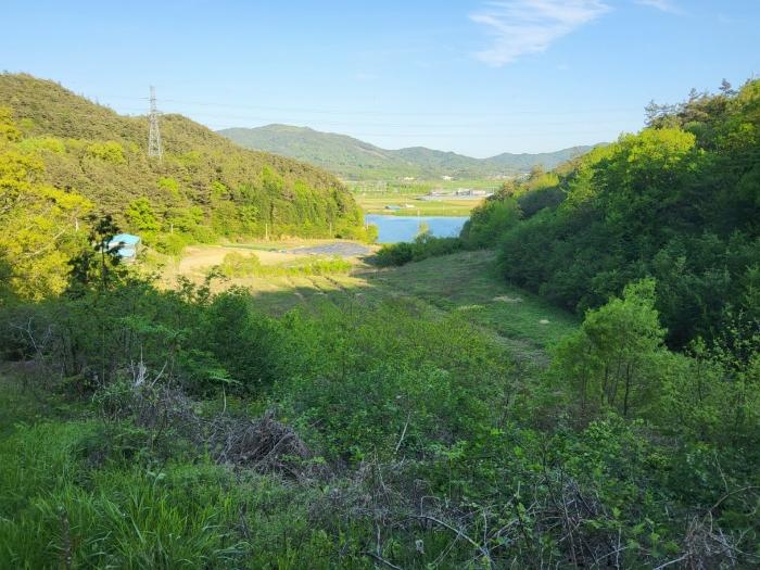 전라남도 보성군 미력면 도개리 828-1 전 경매 사진 13