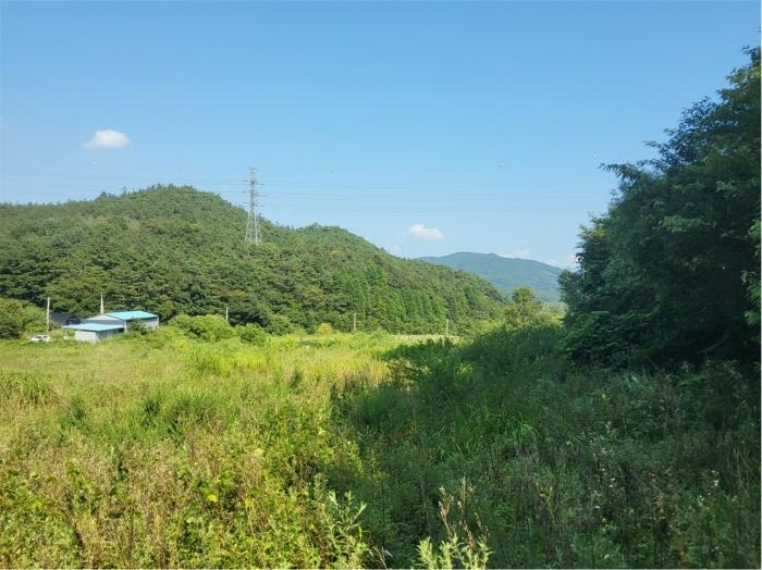 전라남도 보성군 미력면 도개리 828-3 전 경매 사진 31