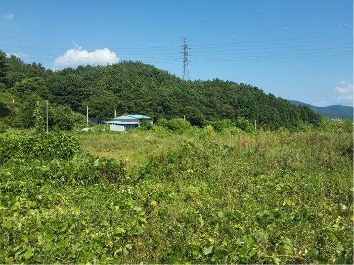 전라남도 보성군 미력면 도개리 828-5 전 경매 사진 20