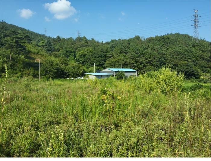 전라남도 보성군 미력면 도개리 821-3 전 경매 사진 2