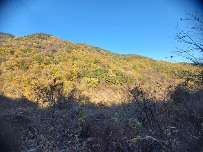 경남 밀양시 답