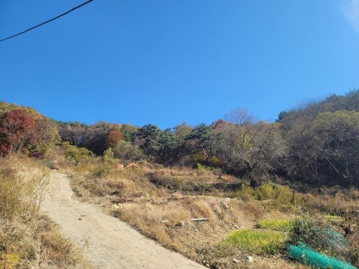 경상남도 밀양시 청도면 구기리 1517 답 경매 사진 5
