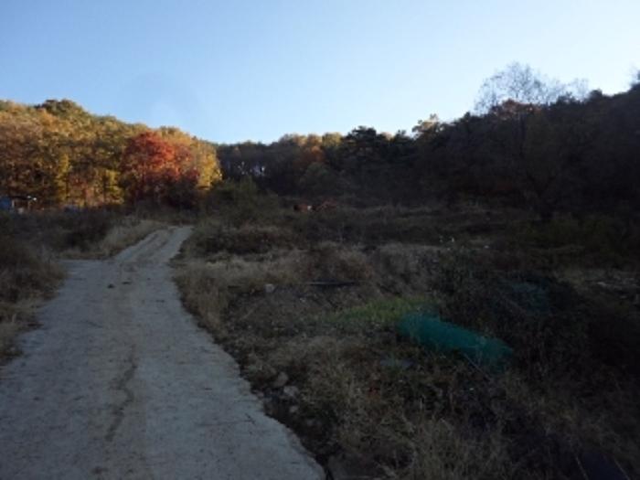 경상남도 밀양시 청도면 구기리 1517 답 경매 사진 7