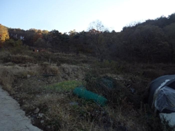 경상남도 밀양시 청도면 구기리 1517 답 경매 사진 8