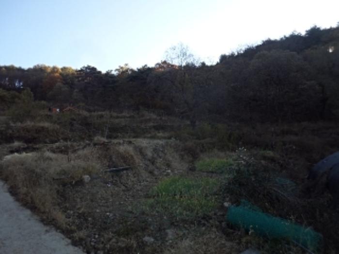 경상남도 밀양시 청도면 구기리 1517 답 경매 사진 9