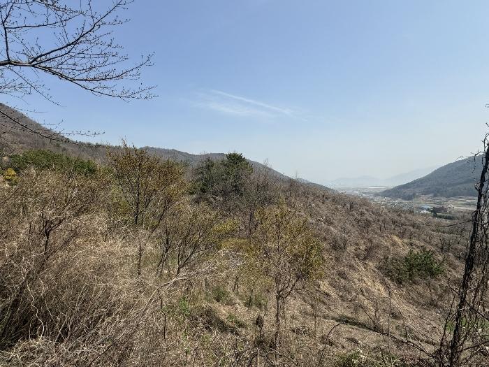 전라남도 여수시 묘도동 1756-10 임야 경매 사진 2