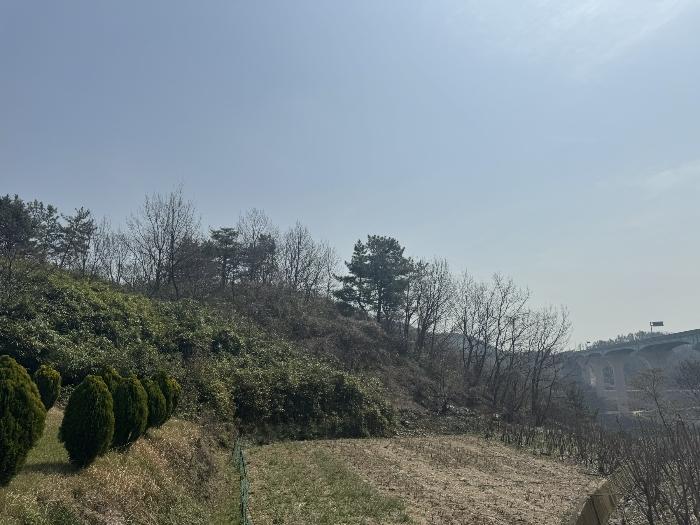 전라남도 여수시 묘도동 1756-10 임야 경매 사진 4