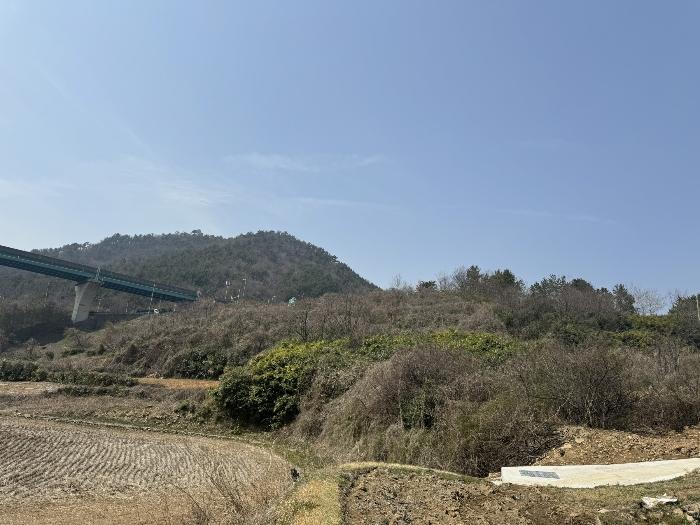 전라남도 여수시 묘도동 1756-10 임야 경매 사진 6