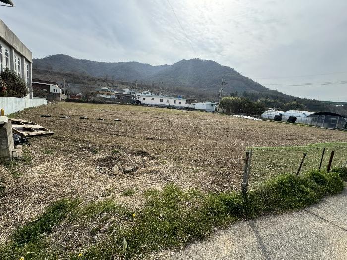 전라남도 여수시 묘도동 1756-10 임야 경매 사진 7