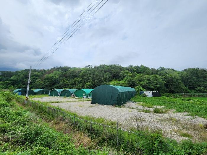 경상남도 하동군 진교면 양포리 351-2 답 경매 사진 1