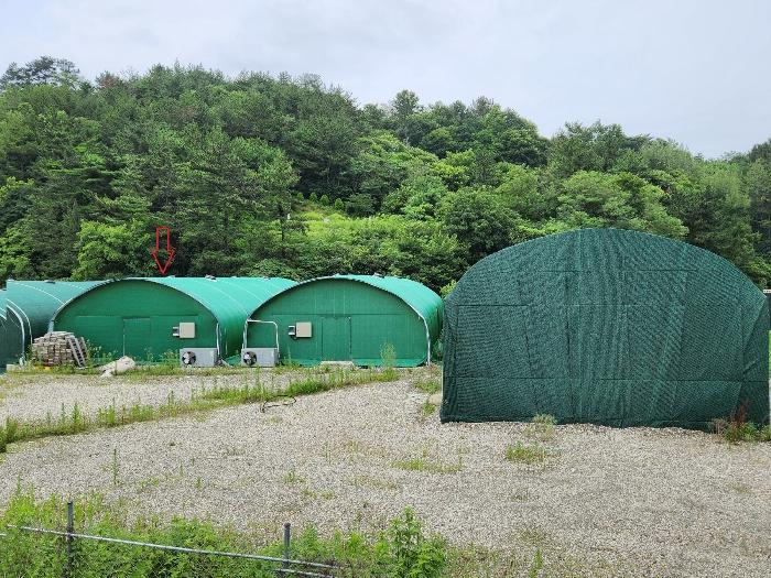 경상남도 하동군 진교면 양포리 351-2 답 경매 사진 12