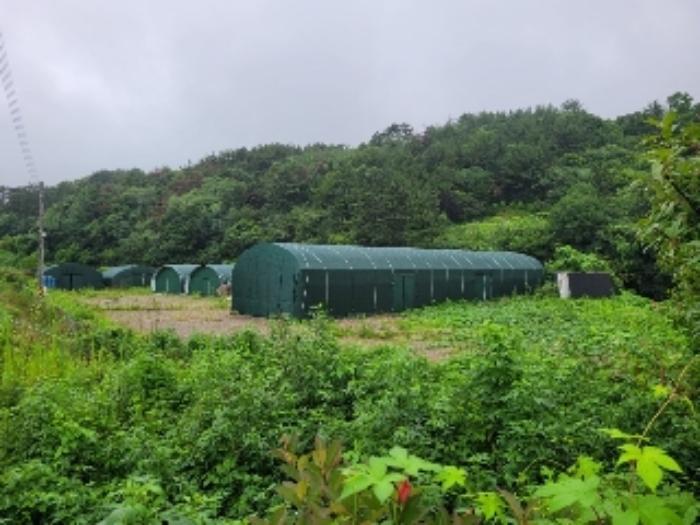 경상남도 하동군 진교면 양포리 351-2 답 경매 사진 17