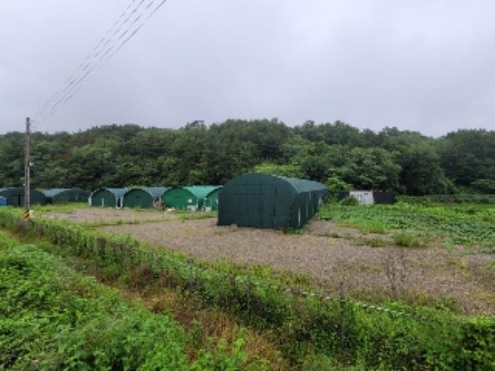 경상남도 하동군 진교면 양포리 351-2 답 경매 사진 18