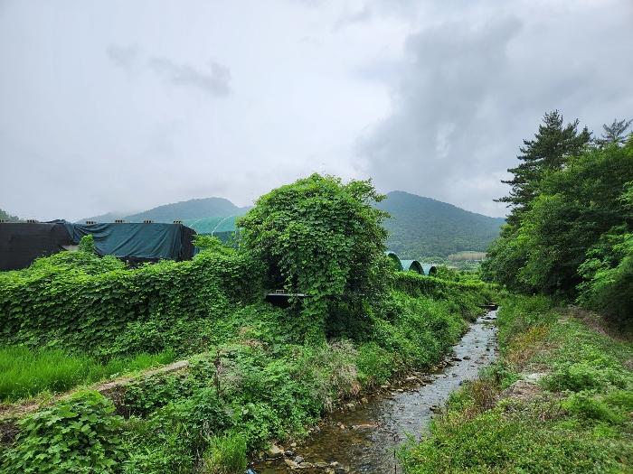 경상남도 하동군 진교면 양포리 351-2 답 경매 사진 2
