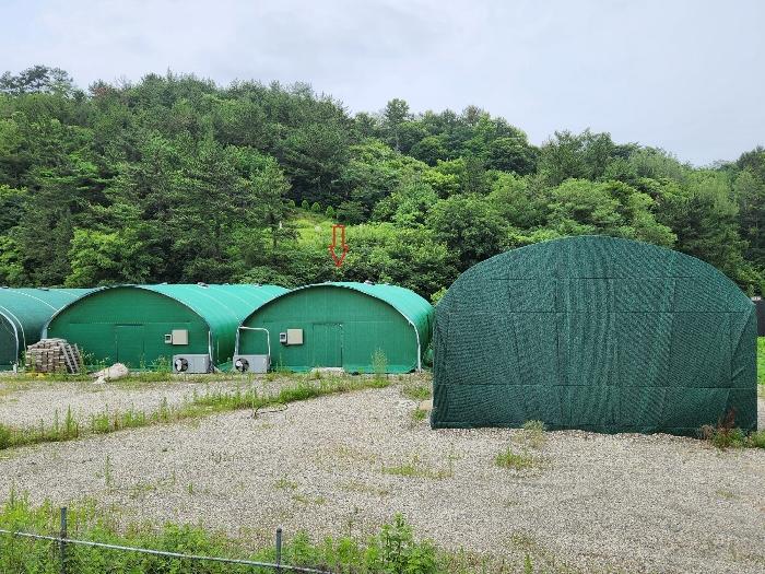 경상남도 하동군 진교면 양포리 351-2 답 경매 사진 4