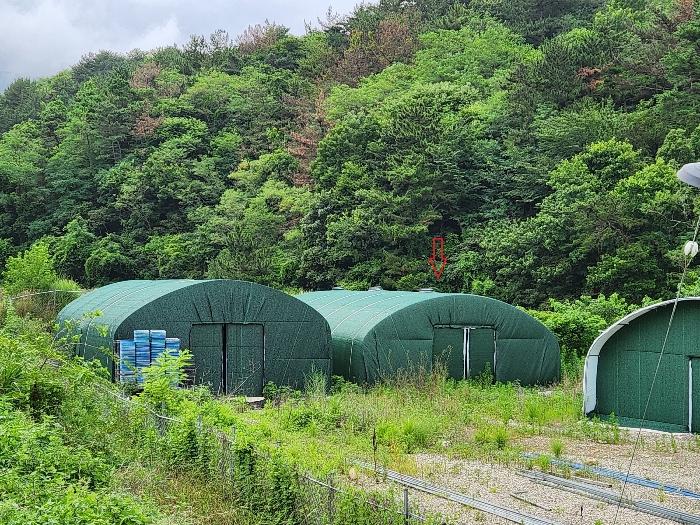 경상남도 하동군 진교면 양포리 351-2 답 경매 사진 6