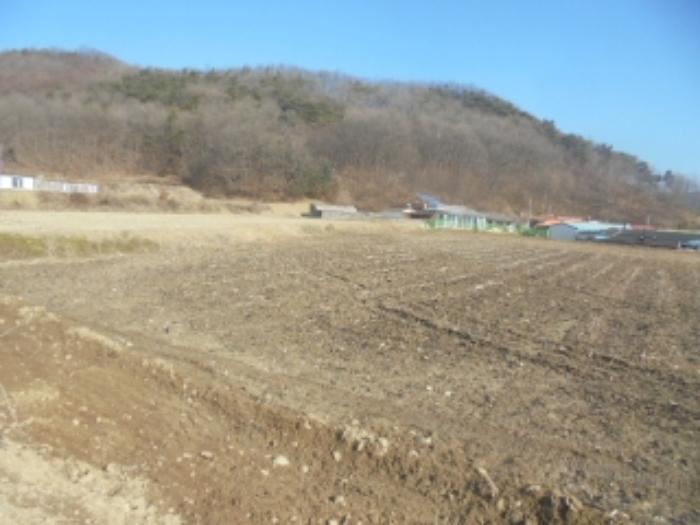 충청북도 충주시 앙성면 강천리 229-5 답 경매 사진 1