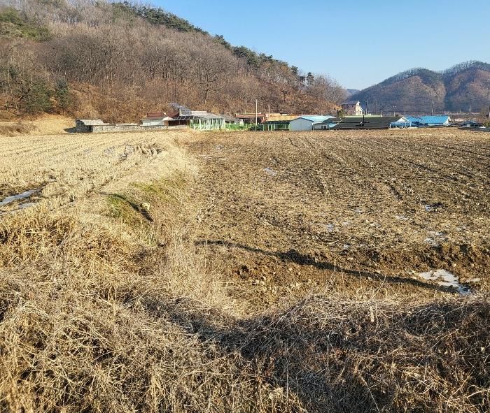 충청북도 충주시 앙성면 강천리 229-5 답 경매 사진 2