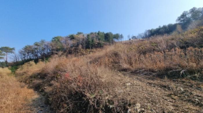 경기도 가평군 설악면 회곡리 388-27 임야 경매 사진 12