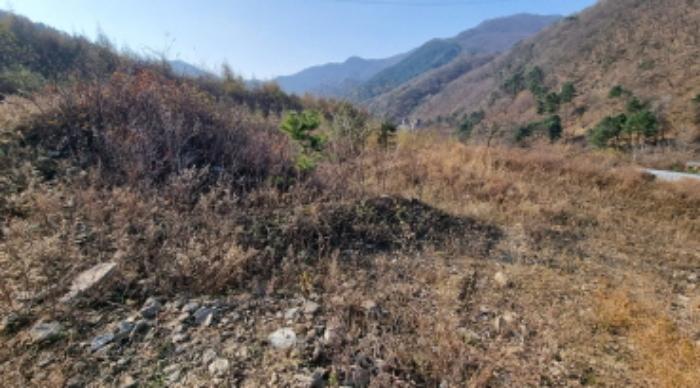 경기도 가평군 설악면 회곡리 388-27 임야 경매 사진 13