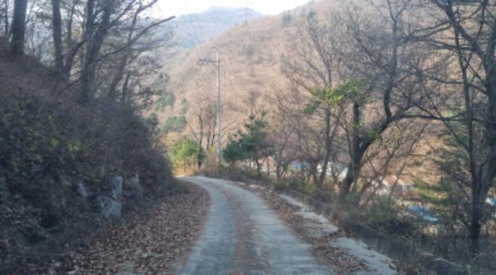 경기도 가평군 설악면 회곡리 388-27 임야 경매 사진 16