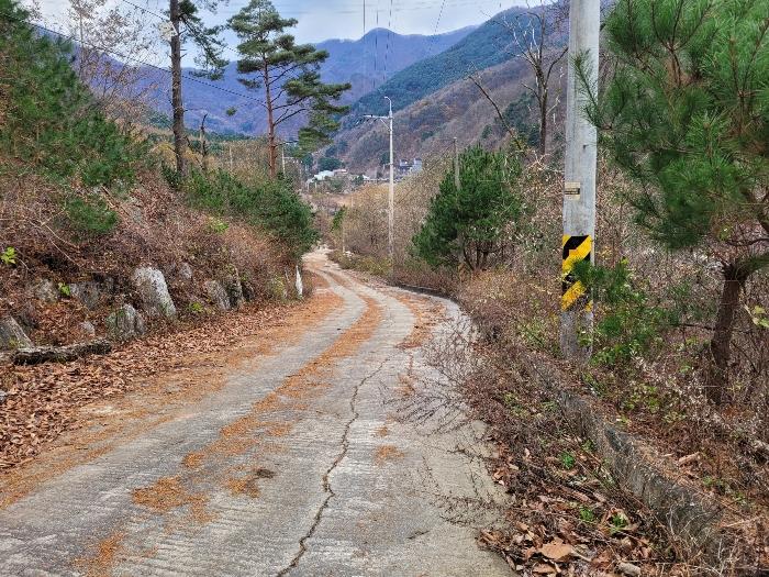 경기도 가평군 설악면 회곡리 388-27 임야 경매 사진 3