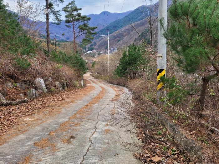 경기도 가평군 설악면 회곡리 388-27 임야 경매 사진 7