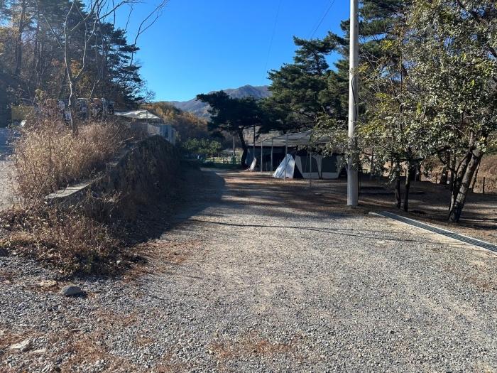 울산광역시 울주군 상북면 덕현리 산157-3 임야 경매 사진 2