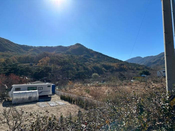 울산광역시 울주군 상북면 덕현리 산157-3 임야 경매 사진 3