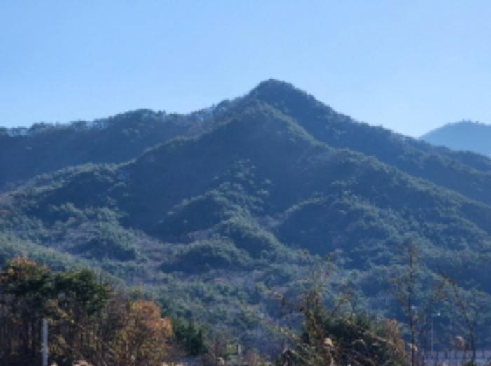 울산광역시 울주군 상북면 덕현리 산157-3 임야 경매 사진 5