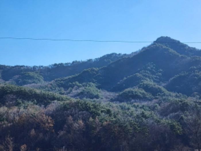 울산광역시 울주군 상북면 덕현리 산157-3 임야 경매 사진 7