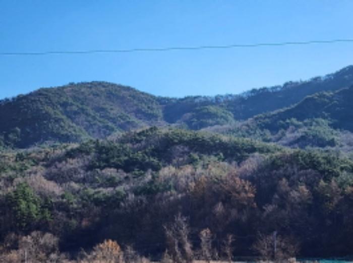 울산광역시 울주군 상북면 덕현리 산157-3 임야 경매 사진 8