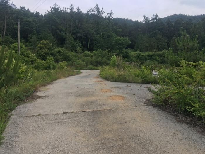 전라남도 해남군 현산면 월송리 1380-1 답 경매 사진 10