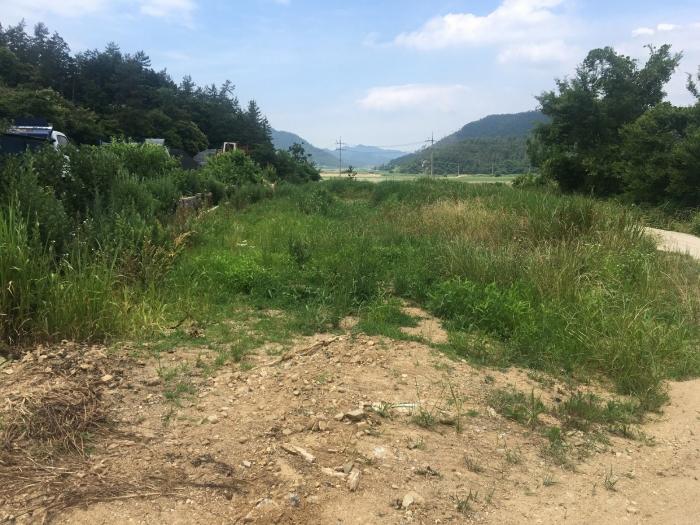 전라남도 해남군 현산면 월송리 1380-1 답 경매 사진 16