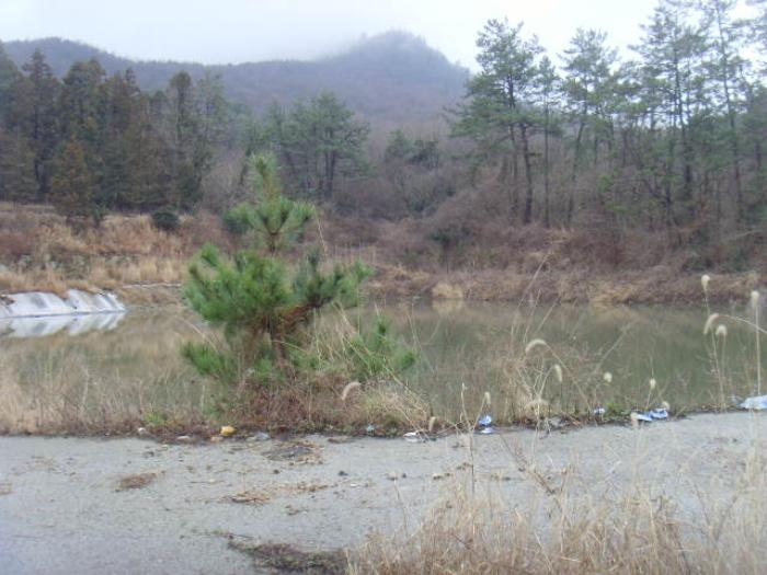 전라남도 해남군 현산면 월송리 1380-1 답 경매 사진 18