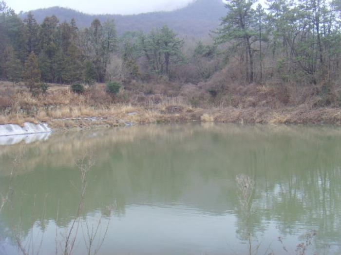 전라남도 해남군 현산면 월송리 1380-1 답 경매 사진 19