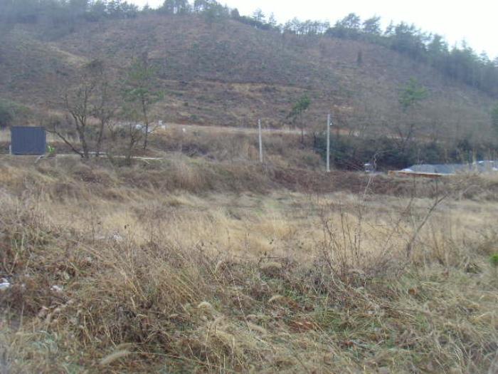 전라남도 해남군 현산면 월송리 1380-1 답 경매 사진 21