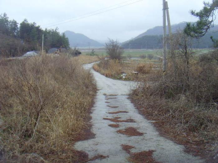전라남도 해남군 현산면 월송리 1380-1 답 경매 사진 24