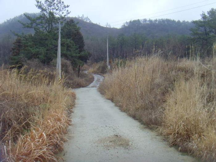 전라남도 해남군 현산면 월송리 1380-1 답 경매 사진 26
