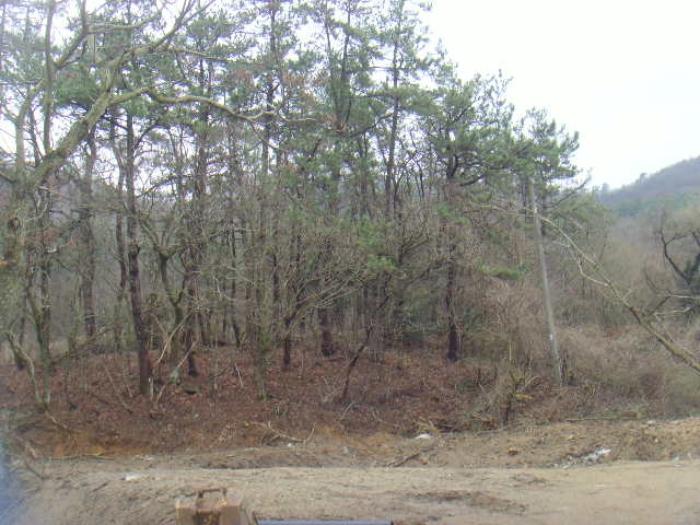 전라남도 해남군 현산면 월송리 1380-1 답 경매 사진 27