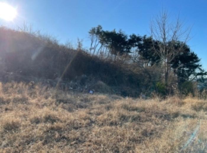 경상남도 사천시 실안동 720 전 경매 사진 12