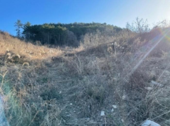 경상남도 사천시 실안동 720 전 경매 사진 15