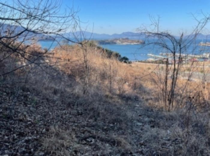 경상남도 사천시 실안동 720 전 경매 사진 17