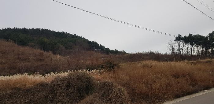 경상남도 사천시 실안동 720 전 경매 사진 3